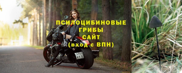 гидра Белоозёрский
